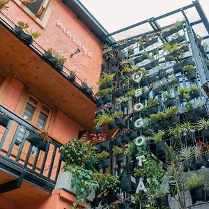 Masaya Hostel